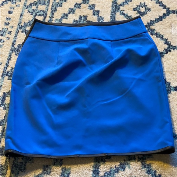 Ann Taylor Skirt - Picture 2 of 4